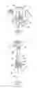 Fig. 03 - Composite pile formed of interconnected rigid hollow tubes