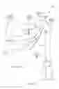 Fig. 04 - Faucet System Comprising a Liquid Soap Delivery Line