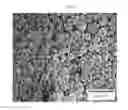 Fig. 03 - Transparent and heat-insulating material including polymer capsule and method for preparing the same