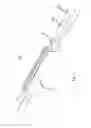Fig. 03 - Curtain wall elements