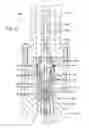 Fig. 06 - Internal lockdown snubbing plug