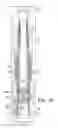 Fig. 08 - Wireline retrievable injection valve assembly with a variable orifice