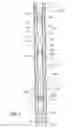 Fig. 03 - Method and apparatus for wellbore fluid treatment