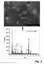 Fig. 05 - TREATMENT OF MICROBIAL-INFLUENCED CORROSION