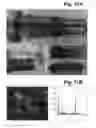 Fig. 12 - TREATMENT OF MICROBIAL-INFLUENCED CORROSION