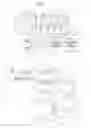 Fig. 02 - Exhaust purification system for internal combustion engine