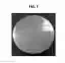Fig. 06 - COATING MATERIAL FOR PARTS OF ENGINE EXHAUST SYSTEM AND METHOD FOR MANUFACTURING THE SAME