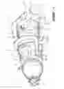 Fig. 05 - Compound cycle engine