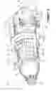 Fig. 09 - Compound cycle engine
