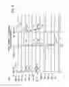 Fig. 11 - HYDRAULIC ENGINE