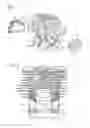 Fig. 03 - Two-stroke engine