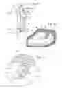 Fig. 06 - Two-stroke engine