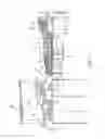 Fig. 02 - GEARED TURBINE ENGINE WITH O-DUCT AND THRUST REVERSER