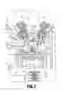 Fig. 02 - Intake system of internal combustion engine