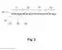 Fig. 03 - Segment for spacing apparatus used in conjunction with electrical boxes
