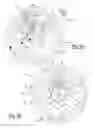 Fig. 04 - Variable two-way over-running clutch