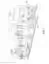 Fig. 09 - Shock energy absorber