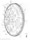 Fig. 03 - Reduced noise flexplate