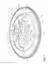 Fig. 08 - Reduced noise flexplate