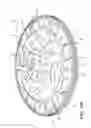 Fig. 17 - Reduced noise flexplate