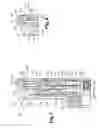 Fig. 08 - Torque transmission device for a motor vehicle