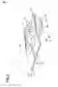 Fig. 03 - Continuously variable transmission