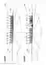 Fig. 09 - VEHICLE LAMP