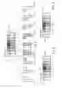 Fig. 02 - LIGHTING MODULE FOR MOTOR VEHICLE HEADLIGHT, HEADLIGHT EQUIPPED WITH SUCH MODULES, AND HEADLIGHT ASSEMBLY