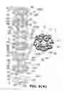 Fig. 06 - LED 3D curved lead frame of illumination device