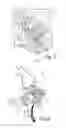 Fig. 07 - Trigger device for a semi-automatic handgun