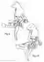 Fig. 08 - Trigger device for a semi-automatic handgun