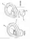 Fig. 10 - Paraclip adapter