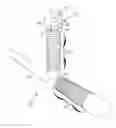 Fig. 01 - Baton with Integrated Spray Repellent