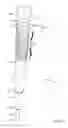 Fig. 06 - Baton with Integrated Spray Repellent