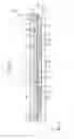 Fig. 03 - Physical quantity sensor element, physical quantity sensor, electronic equipment, and movable body