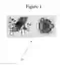 Fig. 02 - High-speed volume measurement system and method