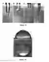 Fig. 06 - Non-contact method for measurement of strain profile at a location interposed within a soft deformable object with dynamic evolution of the strain under dynamic loading or fracture of the object