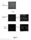 Fig. 06 - Methods of analyzing an H and E stained biological sample