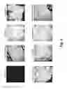 Fig. 08 - Methods of analyzing an H and E stained biological sample