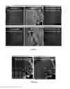 Fig. 12 - Methods of analyzing an H and E stained biological sample