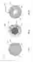 Fig. 07 - Gas cell assembly and applications in absorption spectroscopy