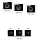 Fig. 28 - System and method for detection of materials using orbital angular momentum signatures