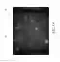 Fig. 02 - Optical and chemical analytical systems and methods