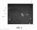 Fig. 07 - Optical and chemical analytical systems and methods