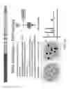 Fig. 19 - Surface enhanced Raman spectroscopy detection of gases, particles and liquids through nanopillar structures