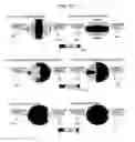 Fig. 09 - Defect detection method and defect detection device and defect observation device provided with same