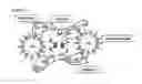 Fig. 03 - Biosensor and molecular identification member