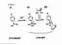Fig. 06 - Biosensor and molecular identification member