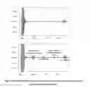 Fig. 07 - Segmented strip design for a magnetostriction sensor (MsS) using amorphous material for long range inspection of defects and bends in pipes at high temperatures
