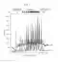 Fig. 06 - Liquid chromatograph mass spectrometer